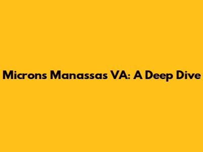 Micron's Manassas VA: A Deep Dive